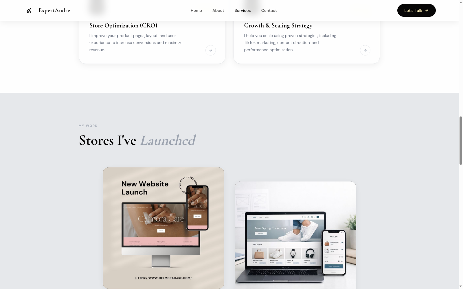 ExpertAndre services section